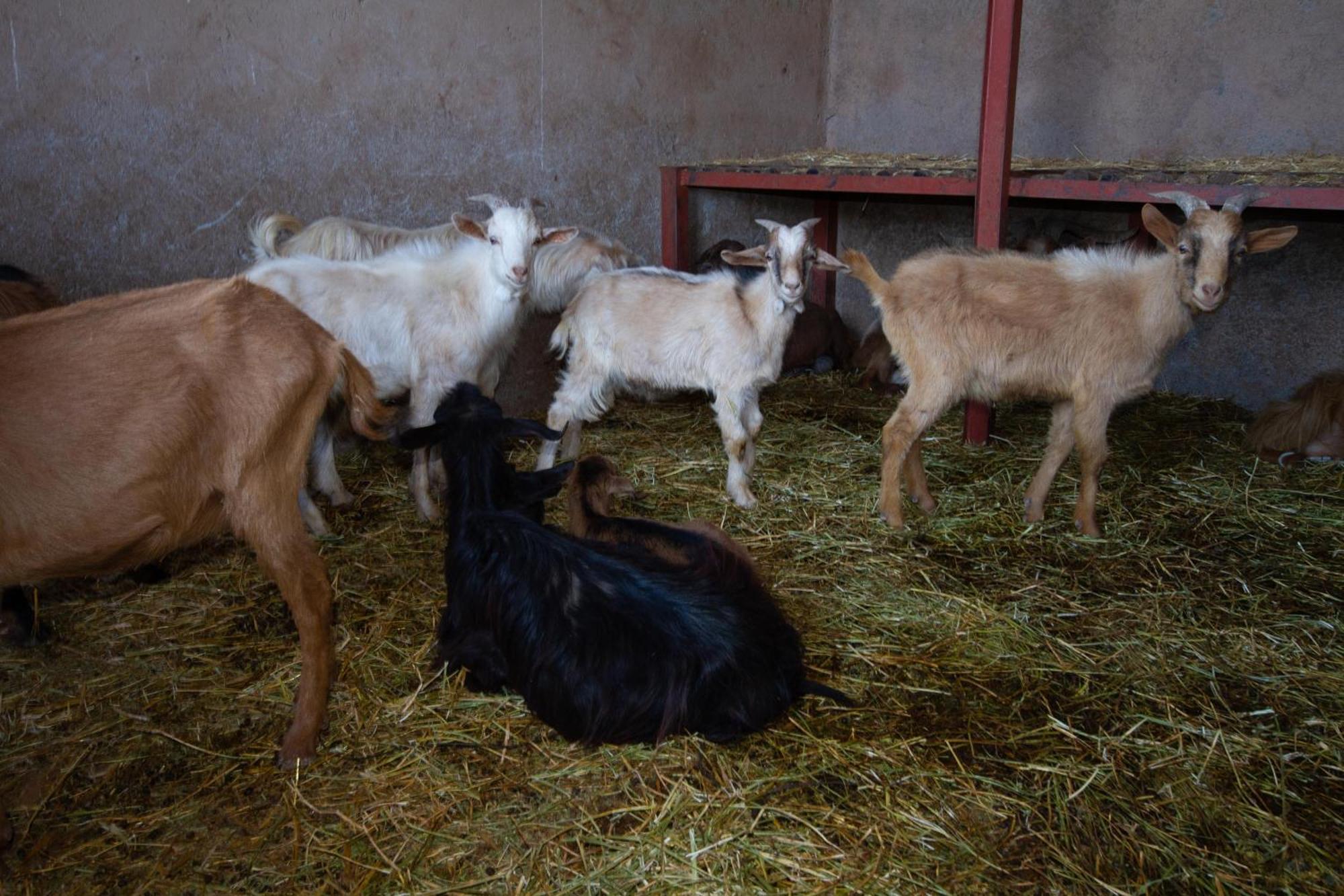 La Ferme De Lalladom Tameslouht Екстериор снимка