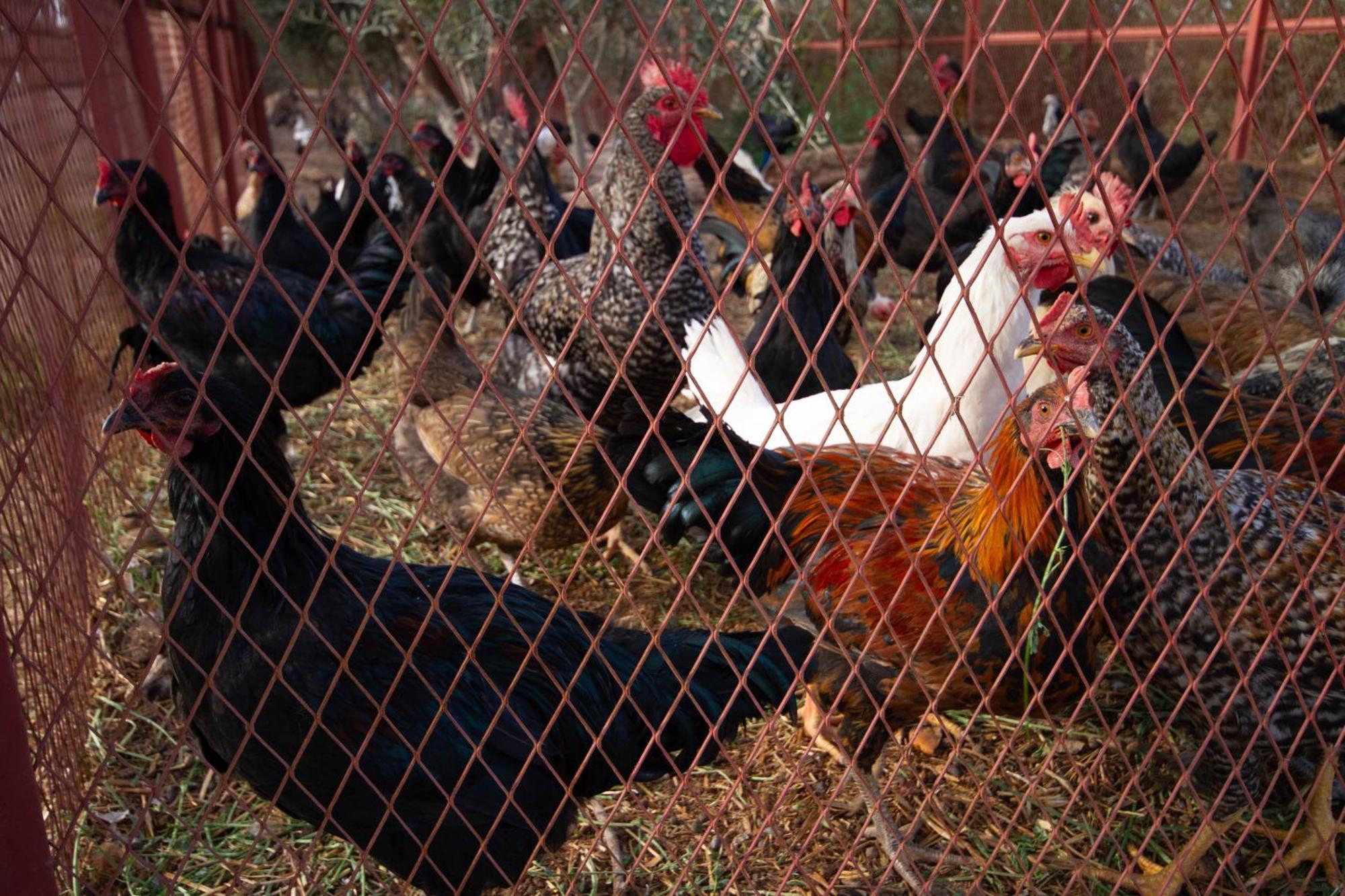 La Ferme De Lalladom Tameslouht Екстериор снимка