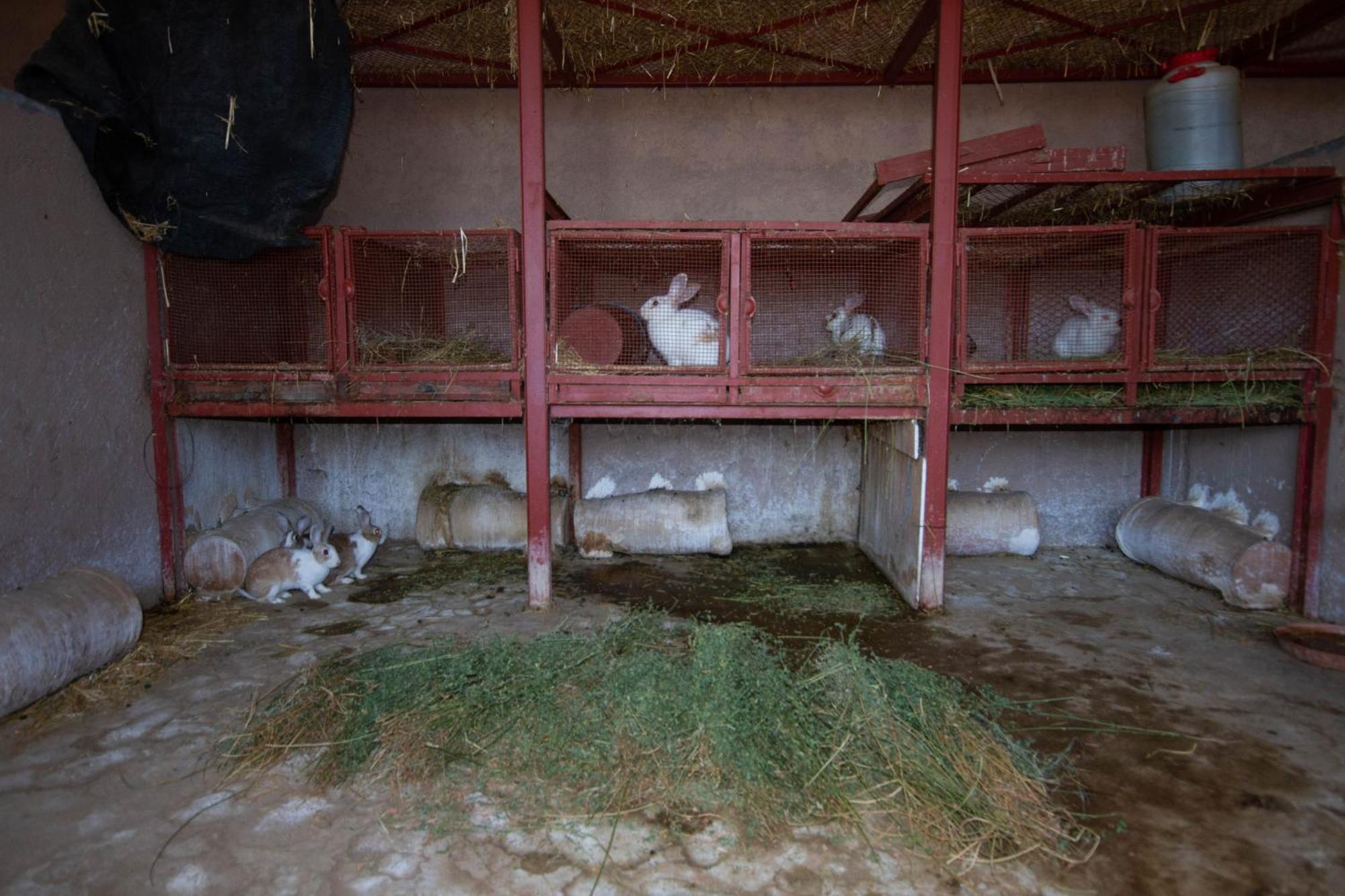 La Ferme De Lalladom Tameslouht Екстериор снимка